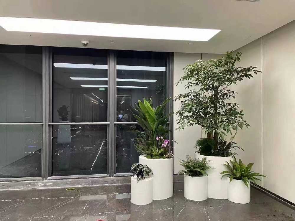 蘇州綠化養(yǎng)護(hù)：打造美麗宜居城市的綠色守護(hù)