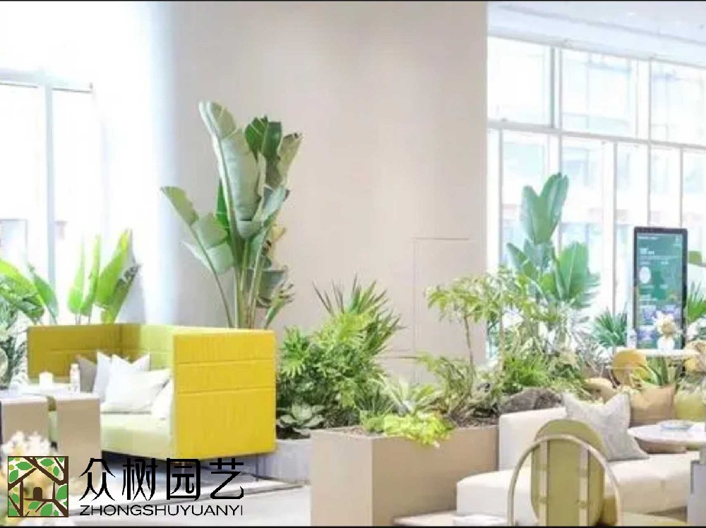 綠動(dòng)蘇州，專業(yè)綠植租賃養(yǎng)護(hù)新風(fēng)尚